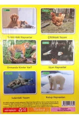 Diytoy İlk 50 Hayvan Flash Cards Hafıza  Kartları