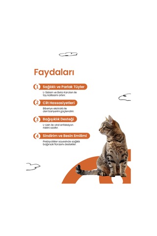 Kediler İçin Sağlıklı Deri Ve Tüy Tableti