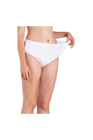 Jiber Kadın Likralı Büyük Beden Külot 642 - 3 Adet 001