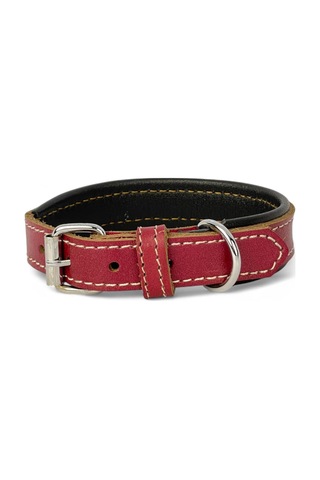 Rainbow Xs Hakiki Deri Küçük Köpek Tasması Xs Beden, Küçük Ve Mini Köpekler İçin Tasma, Yumuşak İç Deri, Krom Kaplamalı Toka & D-halka, 7 Farklı Ren Kırmızı