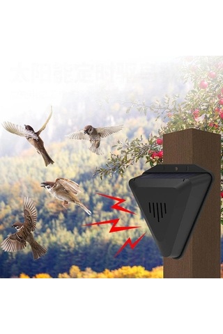 Fortunelane Gece Modlu N911q Ses-ışık Sistemi: Güneşli Kuş-kuşka & Hayvan İzleyici, Bahçe-balık Havuzu-padişah İçin Siyah