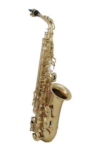 Roy Benson As-202 Alto Saksafon