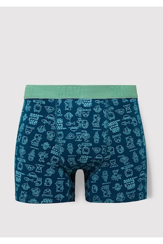 Mavi - Yeşil Boxer 091119-71923 Yeşil