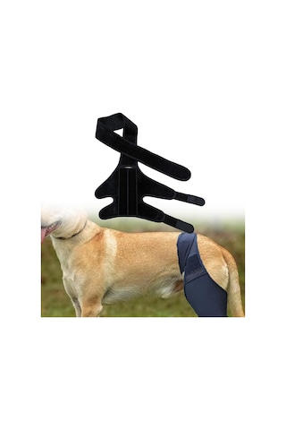 Homyl Köpek Bacak Desteği Esnek Destek Bandajları Malzemeleri