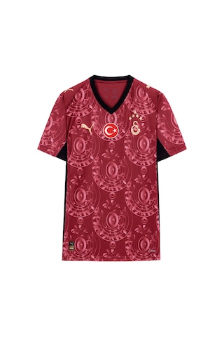 Gsstore Galatasaray 25/26 Erkek Alternatif Forması Uv Ahşap Hediyelik Kutu Kırmızı