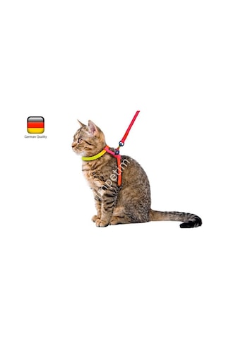 Kedi Bel Tasması 120 CM Kayışlı Gökkuşağı Desenli
