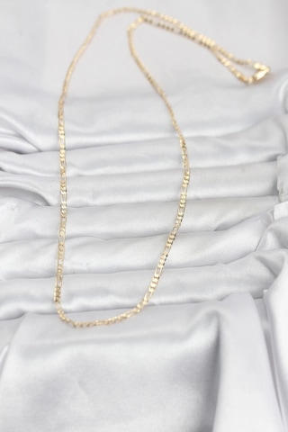 Ceylan Adam Cm 14k Gold Renk İnce Kuşgözü Zincir Model 60 Cm Kadın Kolye Çok Renkli