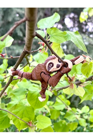 Tembel Hayvan Oyuncak 3d Hareketli Organik Vip Model- Büyük Boy