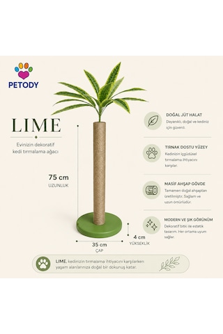 Petody Lime - Doğal Ahşap Kedi Tırmalama Ağacı