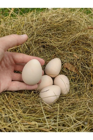 Alex Gips Yolunceği Temizlik Ürünleri 240119249