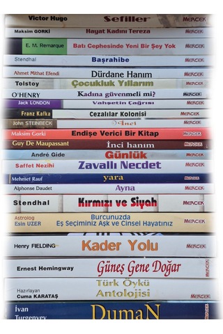 Gençlik Serisi 22 Kitaplık Dünya Klasiklerinden Seçme Romanlar