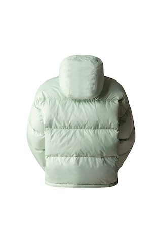The North Face W Down Paralta Puffer Kadın Outdoor Montu Nf0a3ysdı0g1 Yeşil 001