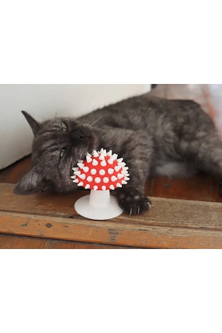 Pureysma Görünümlü Kedi Kaşıma Oyuncağı Tımar Catnip Uy Beyaz - Kırmızı