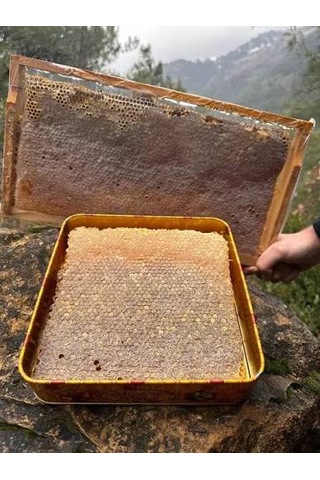 Bitlis Hizan Doğal Yayla Petek Balı Polifloralı Çok Çiçekli Bal Ta14 1050 G
