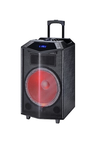 Oyility Dk-15 15'' Taşınabilir Kabin Hoparlör