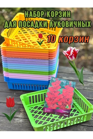 Botanikum Soğanlı Bitkiler İçin Sepet, Kelebek Yetiştirme 384328188