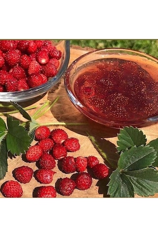 Bizim Yöresel Dağ Çileği Reçeli 390 G
