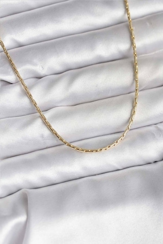 14k Gold Renk Kaplama İnce Zincir Model Cm Kadın Kolye Altin