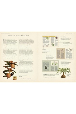 Rhs Botany For Gardeners: The Art And Science Of Gardening Explained & Explored