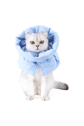 Geeksen Kedi Yaralı Yalama Engelleme Baskılı, Ayarlanabilir, Hafif Polyester, M Büyüklük, Mavi Renk