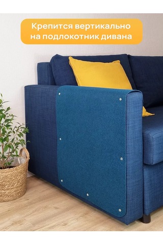 Aseliadia Kedi Kınağı - 80x50 Cm Kanepe Tipi 227986903