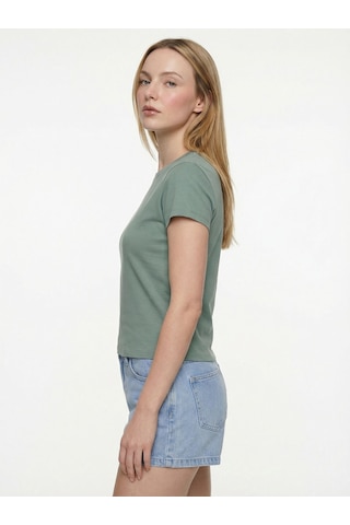 LOFT Slim Fit Kadın Tshirt K.kol Çok Renkli