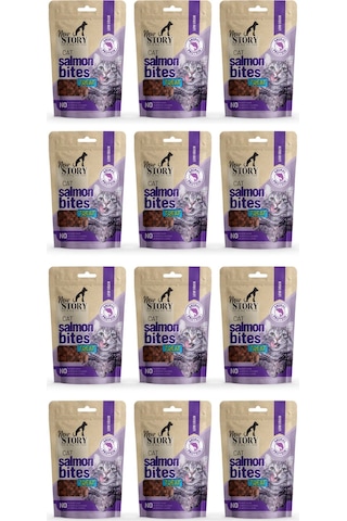 Cat Solmon Bites 12x60gr. Somonlu, Kedi Ödül Maması