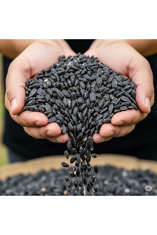 Dakota Ayçekirdeği Tuzlu Kavrulmuş 1000 Gram 1 KG