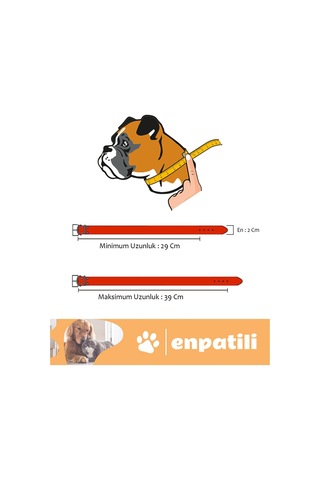 Köpek Tasması Yetişkin Küçük Orta Irk