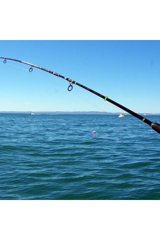 MSO Fosforlu O-Ring Halka Olta Balıkçılık Kamp Kamış Çivi Çadır 10 Adet