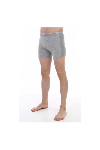 Çift Kaplan 880 Elastanlı Erkek Boxer Gri