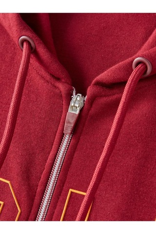 Galatasaray E252113 Hoodıe Bordo Erkek Sweatshirt Bordo