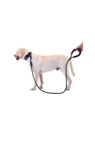Köpekler İçin Gezdirme Tasması Reflektörlü 130 Cm Halat Orta Ve Büyük Boy Köpekler İçin Siyah