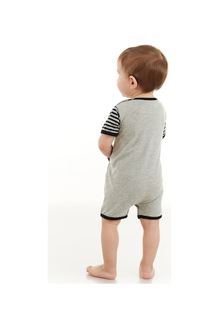 Denokids Rakun Erkek Bebek Gri Yazlık Tulum Çok Renkli
