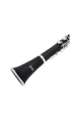 Fox Cl100-G Sol Klarnet