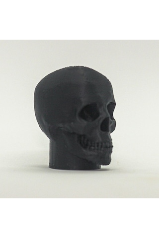 Pazly Suntek Siyah Siyah Macunu Kapağı Kafatası Kafa Diş Çocuklar Aile Vc Diğer