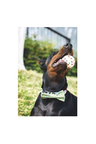 M-pets Bloom Ball Oyun Topu Parçalanmaz