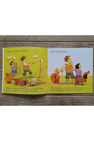 Farmyard Tales Stories Barn on Fire (Farmyard Tales) - Heather Amery - Usborne