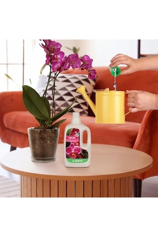 Genta Orkide Sıvı Bitki Besini Gübre 500 Ml Diğer