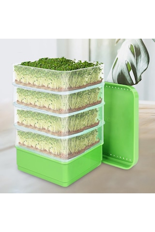 Suntek Magideal Brokoli Yonca Tohumları Için Tohum Filizleme Kitleri