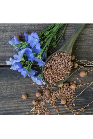 Keten Tohumu Doğal Katkısız - Aromatik Bitkiler Kooperatifi Keten Tohumu 100 Gr