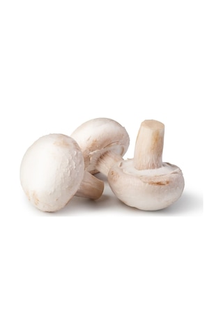 Eko Paket Kültür Mantarı Tohumu Beyaz Şapkalı Kültür Mantarı Tohumu 100 Tohumu +sürpriz Hediye Tohum