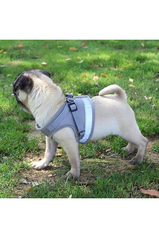 Geeroyoo Reflektif Poliester Köpek Yeleği, 1.2m Tasma İpi, Gümüş Gri, M Boyut, Güvenli Ve Konforlu Pet Aksesuarı Gri