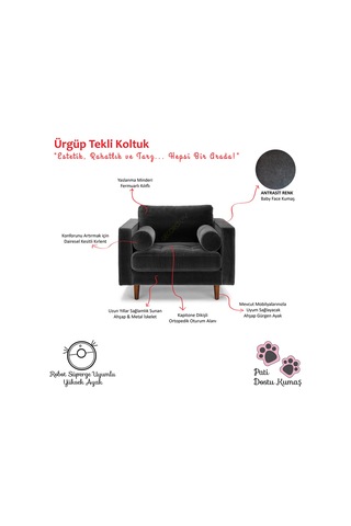 Ürgüp Antrasit Tekli Koltuk Berjer Lobby Koltuğu Terapi Bekleme Koltuğu Antrasit