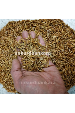 Un Kurdu 100 Gram