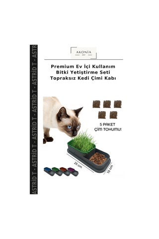 Premium Ev İçi Kullanım Bitki Yetiştirme Seti Topraksız Kedi Çimi Kabı