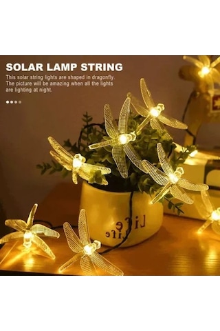 Pazly Güneş Enerjili Yusufçuk Işık Perdesi - 5m 20 Led, Su Geçirmez Bahçe Ve İç Mekan Aydınlatma