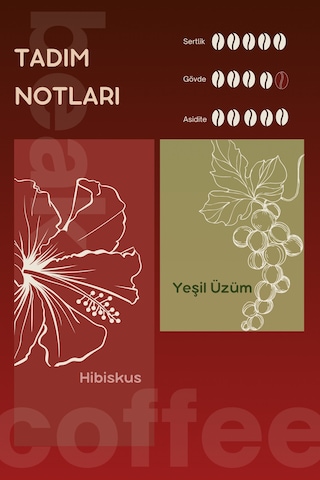 Colombia Hibiscus Natural Çekirdek Kahve 250 Gr , %100 Arabica Çekirdek Kahve