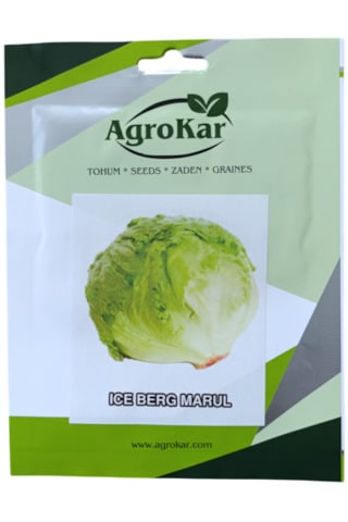 Iceberg Marul Tohumu 2 Gr 1 Paket