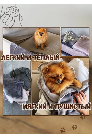 Mur Küçük Ve Orta Boy Köpekler Ve Kediler İçin Battaniye 60 40cm 176363138